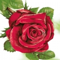 Svatební ubrousky - červená růže